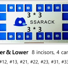 Ssarack Upper & Lower 3*3 Set (12ea)