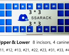 Ssarack Upper & Lower 3*3 Set (12ea)