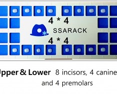 Ssarack Upper & Lower 4*4 Set (16ea)
